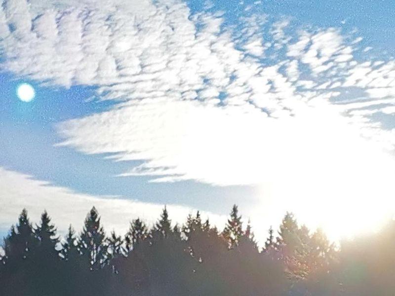 Lejlighed Ausblick