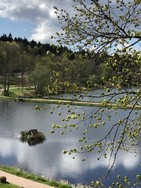 Ausblick Apartment Goslar