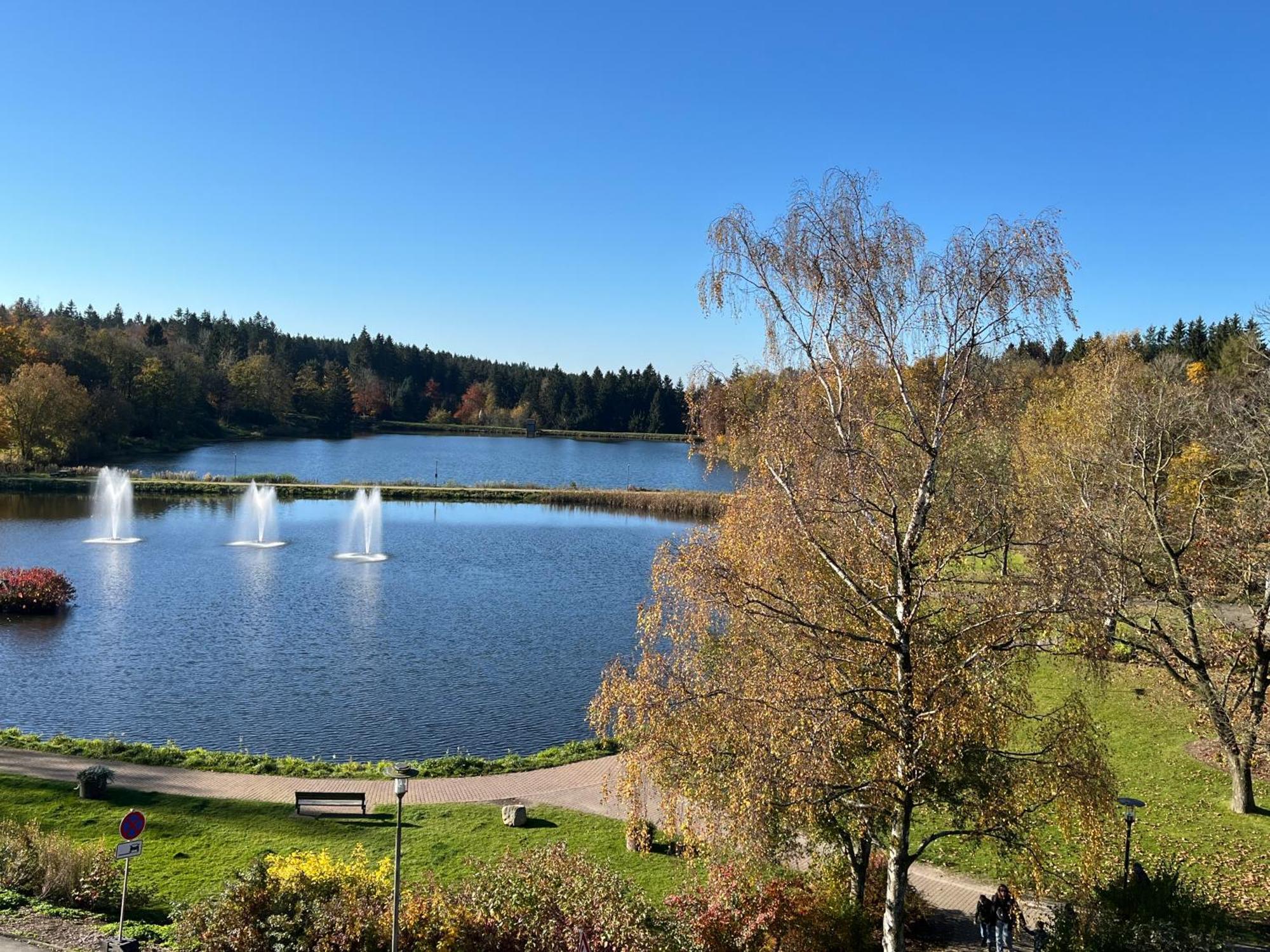 Ausblick Goslar